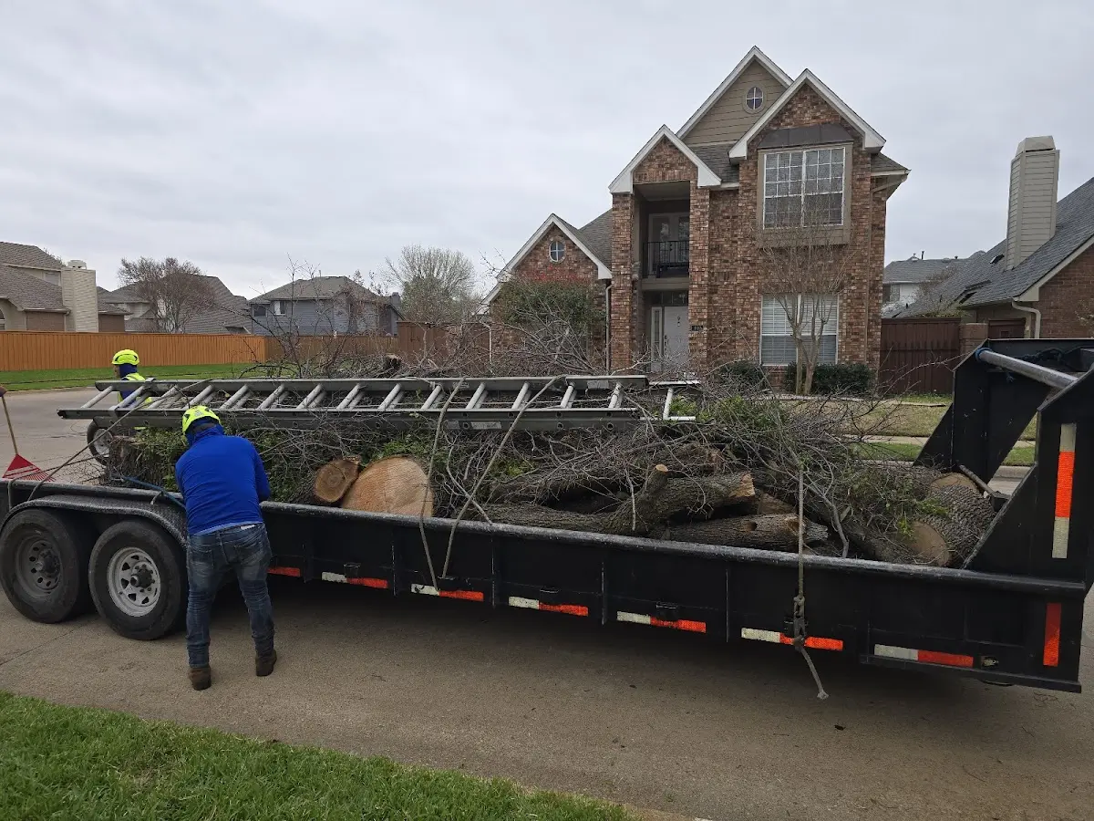 Expert Lot Clearing with proper safety equipment in Boyle